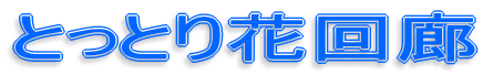 とっとり花回廊 